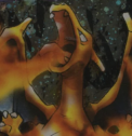 Graded Pokémon Charizard