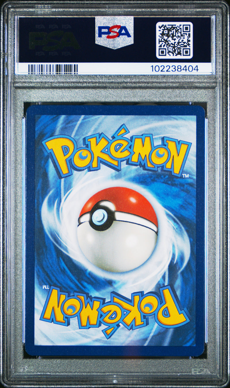 Squirtle [Illustration Rare]