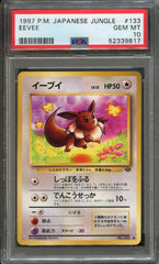 Graded Pokémon Jungle