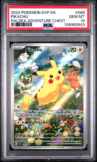 Pikachu [Paldea Adventure Chest]