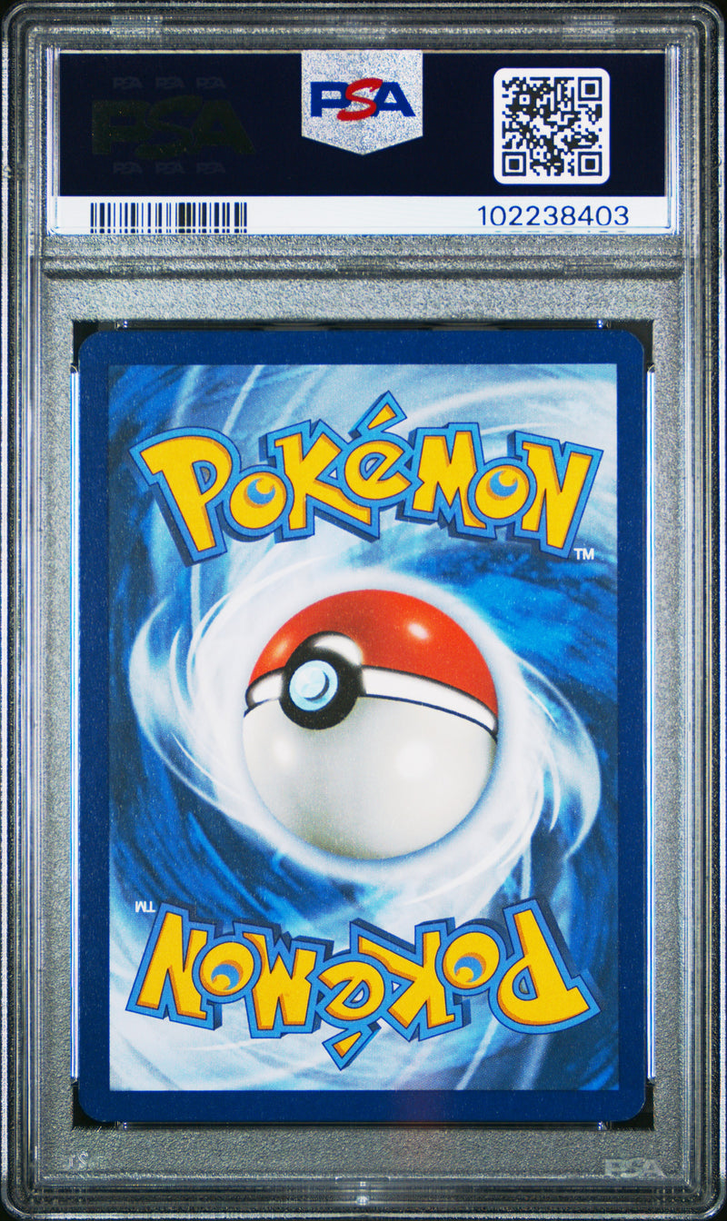 Squirtle [Illustration Rare]