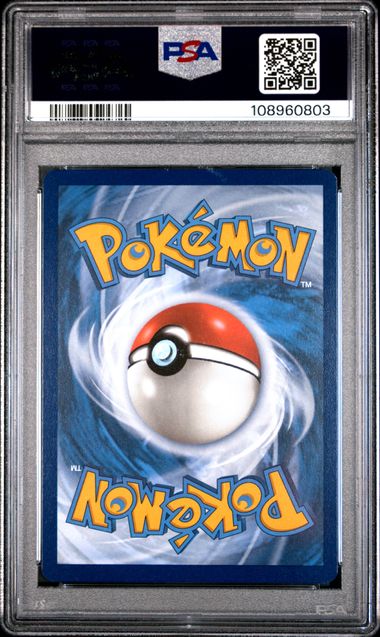 Wartortle